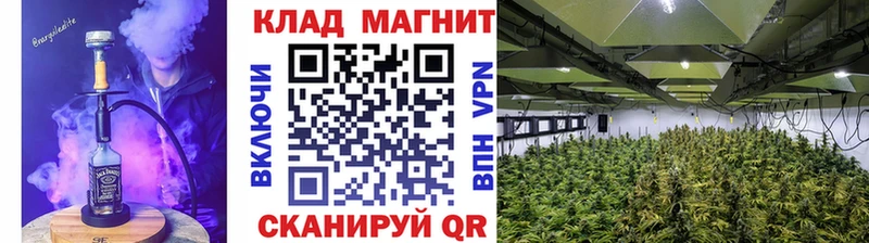 Купить Галлюциногенные грибы  Мефедрон  КОКАИН  ГЕРОИН  АМФЕТАМИН  Высоцк