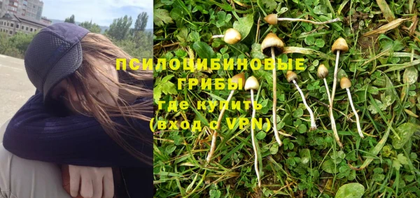 сатива Верхний Тагил