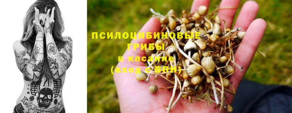 сатива Верхний Тагил