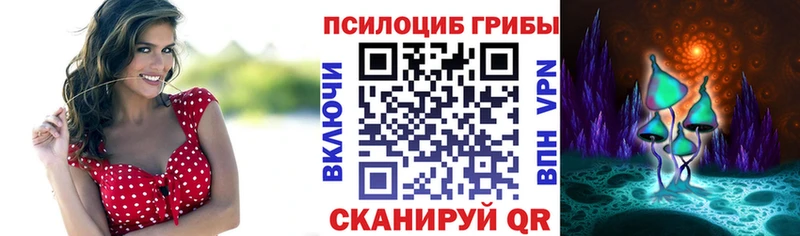 Купить закладки  Высоцк  Галлюциногенные грибы Magic Shrooms 